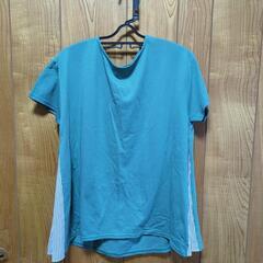 Honeys  カットソー 最終値下げ