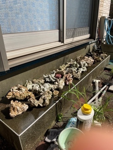 ライブロック‼︎（デスロック）