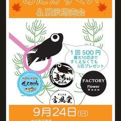 いよいよ明日！9/24 Take秋祭り めだかすくい&販売