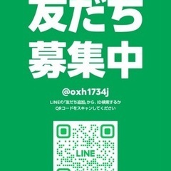 メダカ 各種販売中の画像