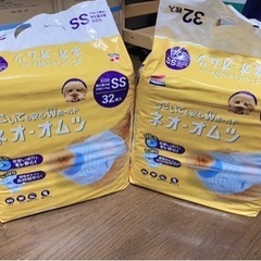 犬　小型犬　オス用　オムツ🐶の画像