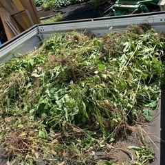 富士市近郊　草刈りなど手伝います − 静岡県