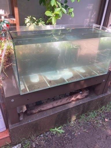 75センチオールガラス水槽