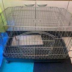 ケージの画像