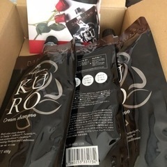 男子バレー龍神2023 カードファイルカードホルダーレギュラー全種