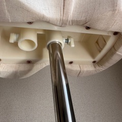 トルソーの画像