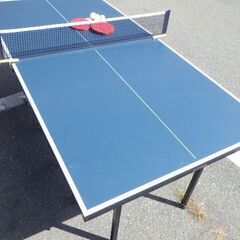 IGNIO イグニオ 卓球台 家庭用 コンパクトサイズ ￥11,880税込