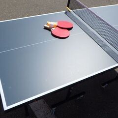 IGNIO イグニオ 卓球台 家庭用 コンパクトサイズ ￥11,880税込