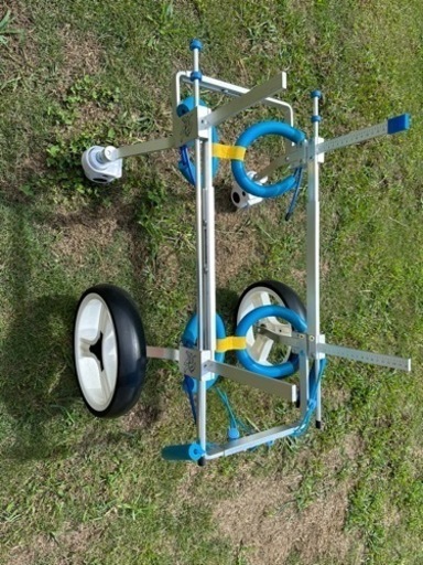 打ち合わせ中。犬用 歩行器 車椅子