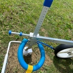 打ち合わせ中。犬用 歩行器 車椅子の画像