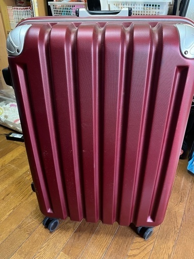 キャリーバッグ(大)
