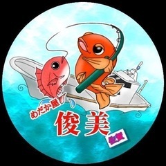 改良めだか販売1