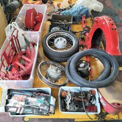 🉐🌿MD70  カブ❗🌿の画像