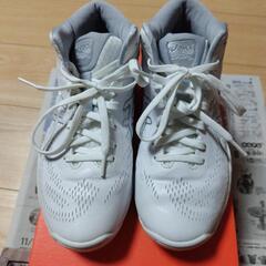 美品‼️asicsバッシュGELHOOP V14 EXTRA WIDE