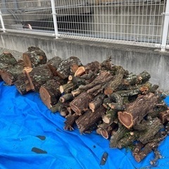 【交渉中のため、問い合わせを中断させて頂きます】薪　玉切り　(ウバメがし、カイヅカイブキなど)の画像