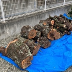 【交渉中のため、問い合わせを中断させて頂きます】薪　玉切り　(ウバメがし、カイヅカイブキなど)の画像