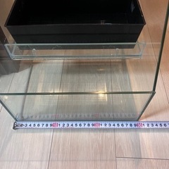 30センチ水槽、アクアテリア　お譲り先決まりました、ありがとうございましたの画像