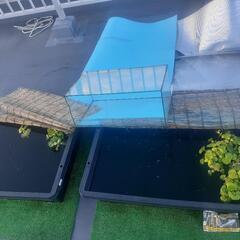 早い者勝ち　説明必読　ミックスメダカ　何匹でも可　の画像