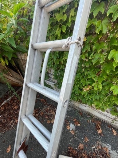 ハシゴ　二連