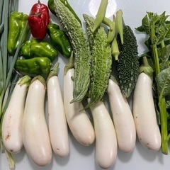 無農薬野菜　9/19収穫