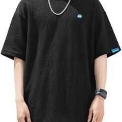 新品　Tシャツ メンズ 半袖 おしゃれ 100%綿 スポーツ　サ...