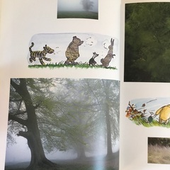 クマのプーさんと魔法の森への画像