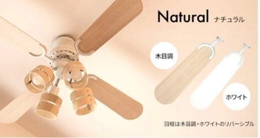 シーリングファンライト リバーシブル 美品 【9/24まで】早い者勝ち