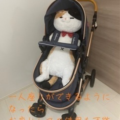 未使用ベビーカー 限定10/5お昼まで