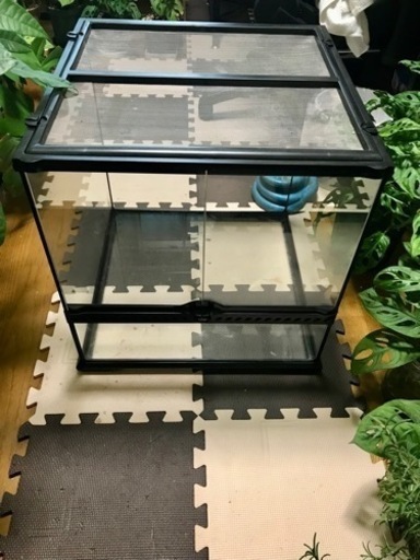 【お話中】グラステラリウム4545 水槽