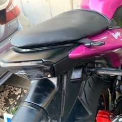 NINJA250rの画像