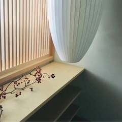 サンキライ　maの画像