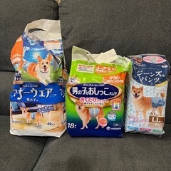 中型犬用オムツまとめて　50枚