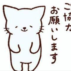 イベント時の飾りなどください。