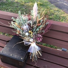 コキア　wgの画像