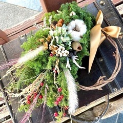 さつま杉　mjaの画像