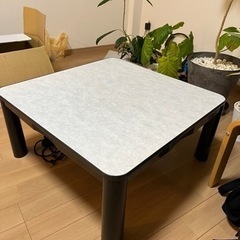 こたつ テーブル ダイニングの画像