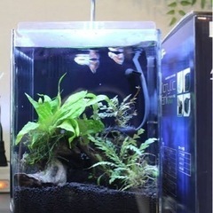 背面濾過一体型水槽アクリルタンクミニの画像