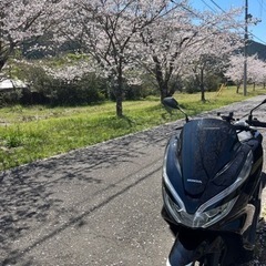PCX125 原付2種