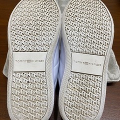 トミーヒルフィガーレディーススニーカーの画像