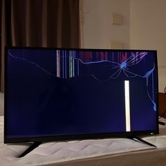 テレビ 引き取り限定