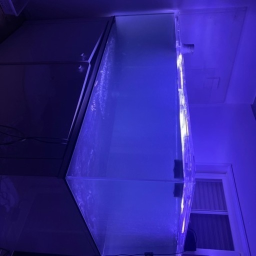 超大型水槽アロワナ古代魚熱帯魚オーバーフロー