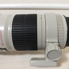 EOS 6D、レンズ1本、ストロボの画像