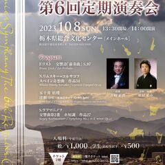 マロニエ交響楽団第6回定期演奏会