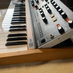 【値下げ】Behringer Poly D アナログシンセサイザー 37鍵 Amazon | ベリンガー 37鍵アナログシンセサイザー ODYSSEY