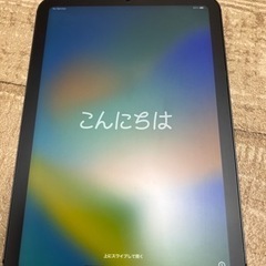 iPad mini 6 Cellular256GB スペースグレイ+おまけ