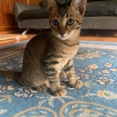 約３ヶ月　男の子