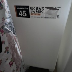 【今月取りに来てくださるなら1800円】ダストボックス ゴミ箱🗑の画像