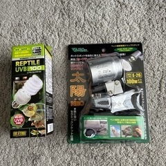 爬虫類用　UVランプセット