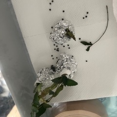 柑橘系の葉っぱ、柑橘系の葉っぱつきの枝などが欲しいです！