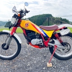 【売約済み】TLM50 50cc ツートラ トライアル 林道 整備済み 実働の画像